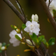 Image for article titled Shooting Challenge: Spring Gallery 2